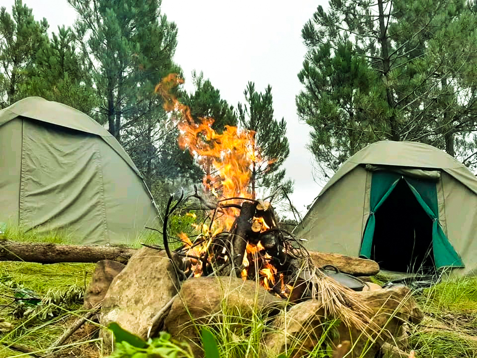 Camping under starry sky